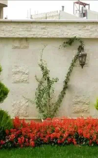 خدمات تخصصی باغبانی باغچه کاری گل کاری تعویض خاک