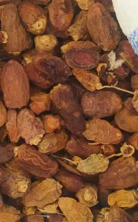کنگه( خرمای خشک )