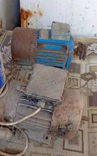 دینام