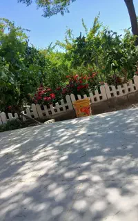 امور منزل و نگهداری از کودک