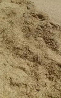 کاه نخود ریزوتمیز