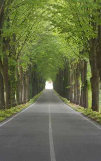 زمین باغشهری