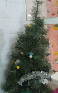 درخت
