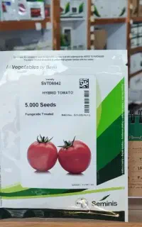 رقم های مناسب گوجه برای مناطق گرمسیر