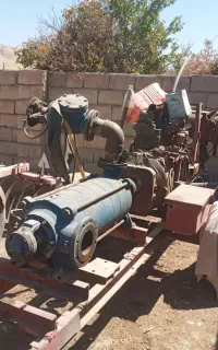 رضا