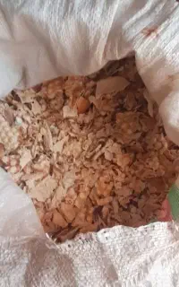 نون خشک