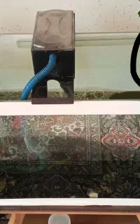 سه عدد آکواریوم