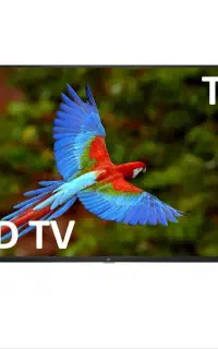 تلویزیون تی سی ال ۴۳ اینچ