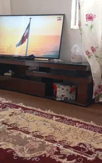 زیر تلویزیونی