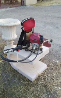 باغ‌بانی