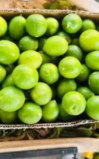 لیمو تازه پوست نازوک