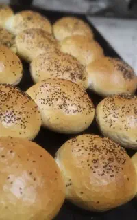 پخش انواع نان حجیم و نیمه حجیم