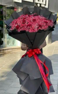 گل رزهلندی درجه یک از ۴۹۰۰۰