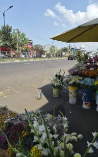 ب یک نماینده یا فروشنده شیفت شب نیازمندیم