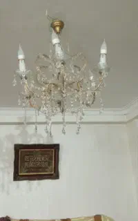لوستر سالم