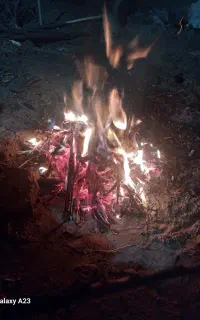 باغ ۹۵۰ متری نقش رستم مرودشت حسین آباد