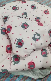 پشه بند