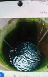 مقنی