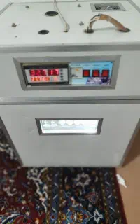 دستگاه جوجه کشی سالم