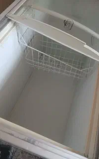 یخچال مرغ