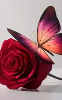 جوشکاری،برقکاری،قفل،شیرآلات،نقاشی ساختمان وکار فنی