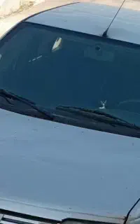 روآسال۸۹