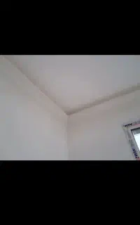 بنای ماهر