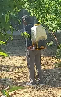 سمپاشی باغ وباغچه ساختمان کل تهران وحومه بافاکتور