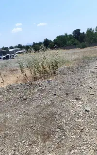 مربی رزمی
