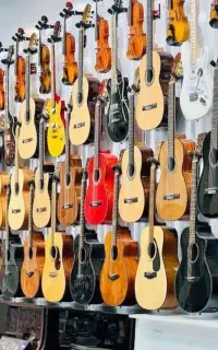 نمایندگی گیتار پارسی یاماها کاور سیم گیتار هاردکیس