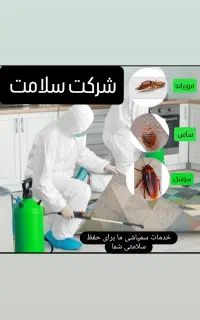 سمپاشی و موریانه زدایی تخصصی با مجوز رسمی