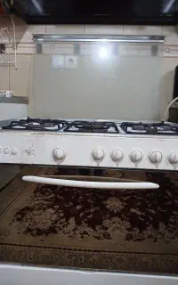 فرگاز