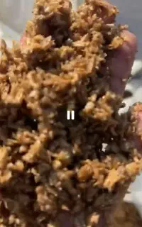 خوراک دام