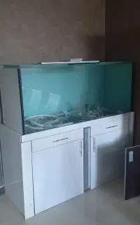 آکواریوم