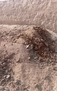 فروش کودگاو