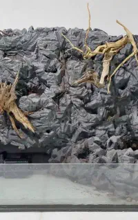 دکور تراریوم  اکواریوم  پالوداریوم