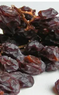 فروش کشمش مویز وافتابی بصورت عمده