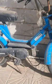 براوو ایتالیا