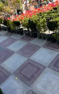 فروشنده گل و گیاه