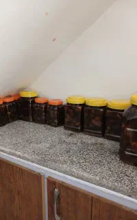 ترشی بادمجون شکم پر