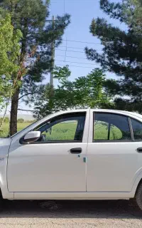 ساینا اس دنده ای تکسوز