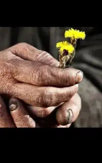 جویای کار آقا