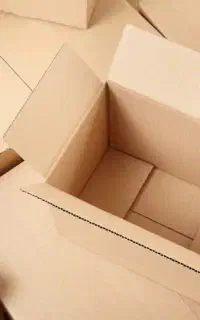 کارتن موز