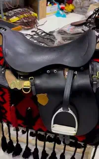 خاص ترین زین برنو ایران