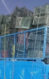 خرید جعبه پلاستیکی با بالاترین قیمت رنگی و سیاه