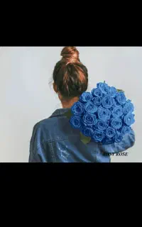 خیاطی رز آبی