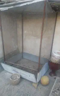 قفس