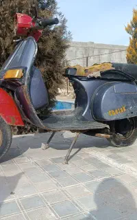 وسپا کلاسیک چیتک