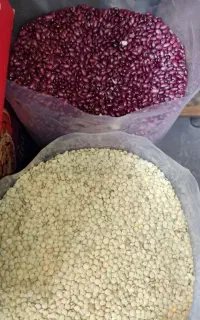 جویای کار بازاریابی خشکبار