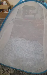 کفش و پشه بند